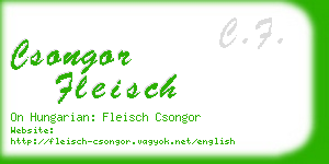 csongor fleisch business card